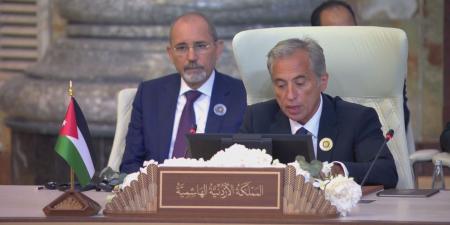 حسان مندوبا عن الملك خلال القمة العربية: الناجون من أهل غزة يعانون الجوع والعطش
