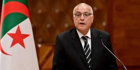 وزير الخارجية الجزائري: العالم العربي يواجه تحديات غير مسبوقة والقضية الفلسطينية في خطر