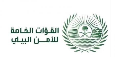الأمن البيئي يضبط مخالفًا لنظام البيئة لتخزينه حطبًا محليًا في منطقة المدينة المنورة