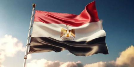 مقيمون في مصر يواجهون أزمات إقامة وخدمات.. وهذه أبرز الحلول