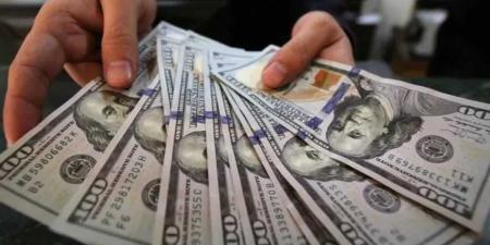 تراجع طفيف في سعر الدولار مقابل الجنيه في منتصف تعاملات اليوم الأحد 18 مايو 2025