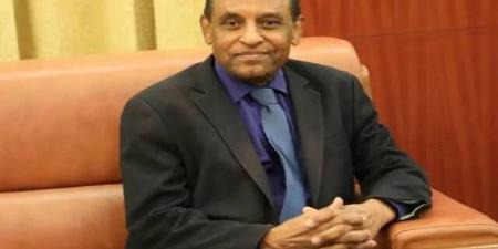 كامل إدريس.. من هو الدبلوماسي النوبي الذي يقود المرحلة الانتقالية في السودان؟