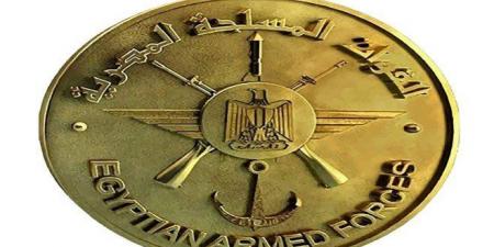 القوات المسلحة المصرية: سقوط طائرة تدريب أثناء تنفيذ أحد الأنشطة التدريبية