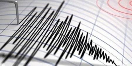 زلزال بقوة 4.6 درجات يضرب غرب تركيا