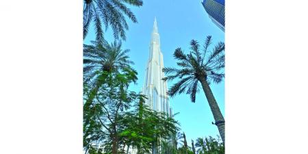 قلب دبي النابض بالخضرة والجمال