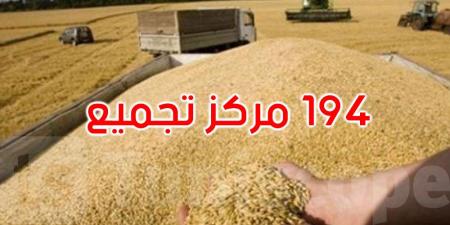 موسم الحبوب: تخصيص 194 مركز تجميع للصابة بكامل البلاد بطاقة تخزين جملية تناهز 7.2 مليون قنطار