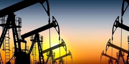 ارتفاع أسعار النفط مدعومًا بمكاسب محدودة