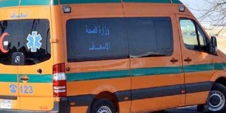 غرق 3 أطفال بينهما شقيقين بترعة في الدقهلية 