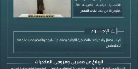 حرس الحدود بجازان يقبض على مخالف لنظام أمن الحدود لتهريبه 20 كيلوجرامًا من نبات القات المخدر