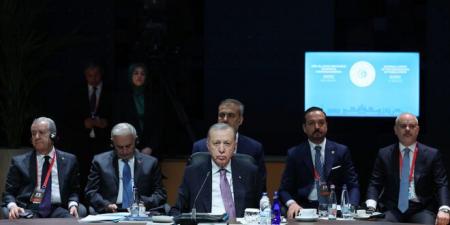 أردوغان: ضرورة دعم وحدة أراضي سوريا