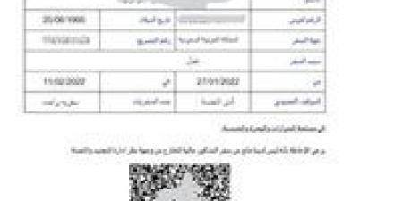 لتسهيل الخدمات الحكومية.. خطوات استخراج تصريح السفر الإلكتروني 2025