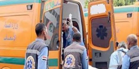 مصرع وإصابة 13 في حادث انقلاب سيارة ميكروباص بملوي
