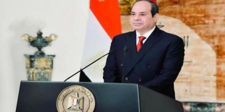 مصر تؤكد ثوابتها بشأن غزة وترفض مقترح إدارة القطاع مقابل إسقاط الديون