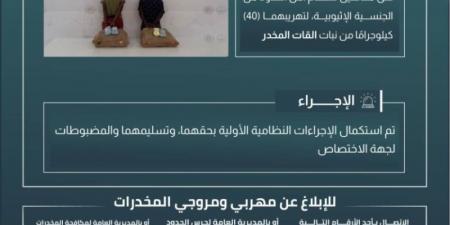 القبض على مخالفين لتهريبهما (40) كجم من القات بـالربوعة