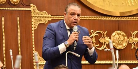 محمد عزمى "نائب التنسيقية": قوانين الإنتخابات المعروضة على غرفتى النواب تتفق مع توصيات الحوار الوطنى
