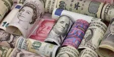 أسعار العملات الأجنبية اليوم السبت 24 مايو 2025 بالدول العربية