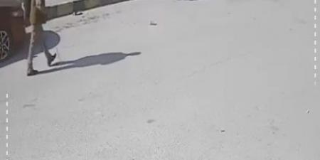 فيديو يوثق لحظة نجاة مواطن من هجوم كلب ضال في الرصيفة