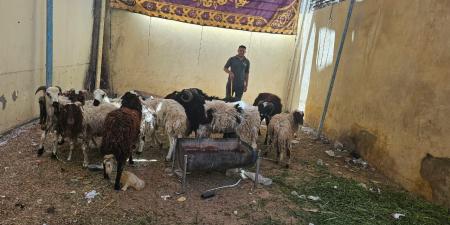 تموين الأقصر يستعد مبكرا لعيد الأضحى المبارك من خلال ٩ قرارات