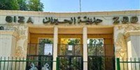 هل تفتح حديقة الحيوان خلال عيد الأضحى؟.. تعرف على الموعد الرسمي