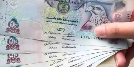 كم سجل الدرهم الإماراتي أمام الجنيه المصري اليوم السبت 24-5-2025؟
