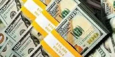 تعرف على أسعار الدولار أمام الجنيه المصري اليوم السبت 24 مايو 2025