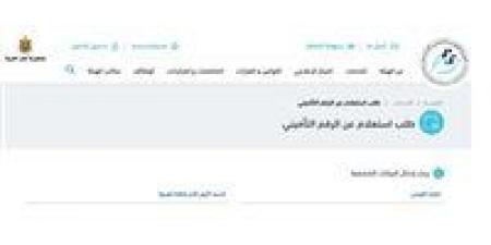 توفيرًا للوقت والجهد.. خطوات الاستعلام عن برنت التأمينات الاجتماعية 2025 إلكترونيًا