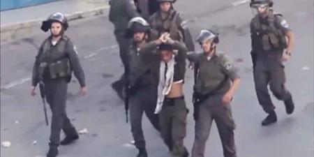 من بروتوكول البعوض، إلى الدّبابير .. الصهاينة يتفنّنون في استخدام الفلسطينيين دروعا بشرية