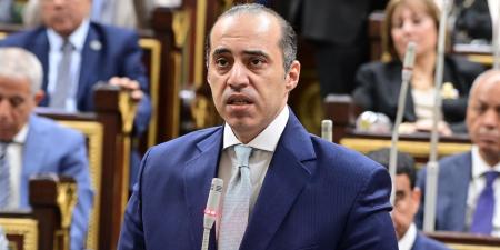 الوزير فوزي: الإشراف القضائي على الانتخابات مستمر من خلال أعضاء الهيئات القضائية.. وتدير الانتخابات هيئة مستقلة بخبرة كبيرة متراكمة