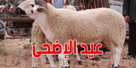بلدية جرجيس: سوق وحيدة لبيع الأضاحي وقرارات صارمة ضد الانتصاب الفوضوي