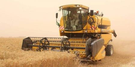 الكاف: الاتحاد الفلاحين يدعو إلى تأخير موعد الانتفاع بمنحة التسليم السريع للشعير