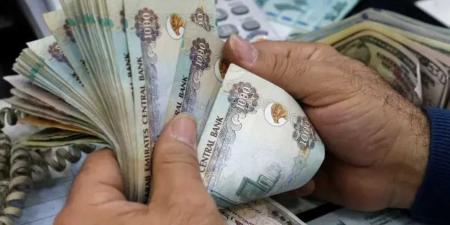 الدرهم الإماراتي يتحدى التقلبات ويسجل استقرارًا قويًا أمام الجنيه المصري اليوم الأحد 25 مايو 2025