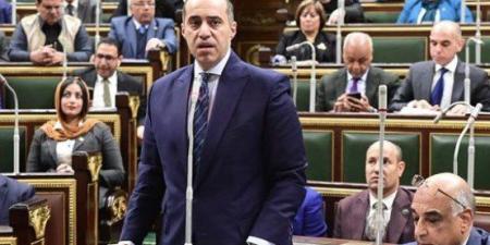 وزير الشئون النيابية: الحكومة تركت القوى السياسية والأحزاب تقرر النظام الانتخابي الأنسب