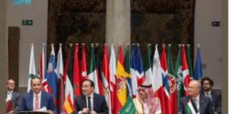 اللجنة الوزارية بشأن غزة تعقد اجتماعًا موسعًا في مدريد بمشاركة أوروبية واسعة