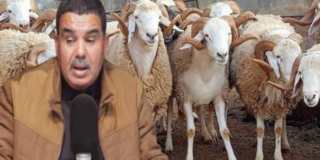 نقابة الفلاحين: تسعيرة 21.900 لبيع الأضاحي لم تُطبّق بسبب منطق السوق وآليات العرض والطلب