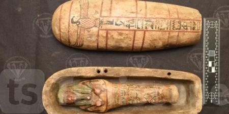 مصر تتسلم آثاراً تاريخية من فرنسا