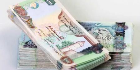 سعر الدرهم الإماراتي مقابل الجنيه المصري اليوم الجمعة 30 مايو 2025.. استقرار نسبي في معظم البنوك
