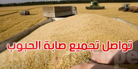 عاجل: إلى حدود اليوم: تجميع 328.5 ألف قنطار من حبوب الاستهلاك