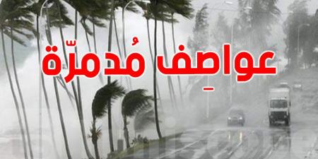 وضع جوّي نادر في الإسكندرية: خبير يُفسّر ما حصل