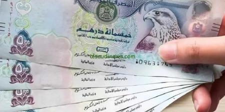 سعر الدرهم الإماراتي اليوم السبت 31 مايو 2025 مقابل الجنيه المصري.. استقرار في البنوك المصرية