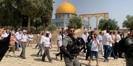 مستعمرون يقتحمون المسجد الأقصى المبارك تحت حماية شرطة الاحتلال الإسرائيلي