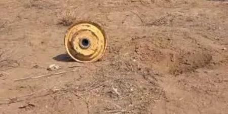 إصابة مواطن إثر انفجار لغم حوثي خلال قطع عملية تحطيب في مارب