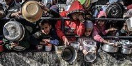 المدير التنفيذي للجنة الإنقاذ الدولية يحذر من كارثة إنسانية في غزة ويدعو إلى وقف فوري لإطلاق النار وفتح المعابر