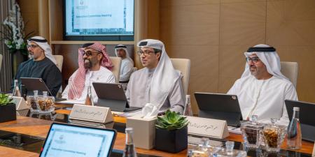 بحضور منصور بن زايد وخالد بن محمد بن زايد.. طحنون بن زايد يترأس اجتماع مجلس الشؤون الاستثمارية