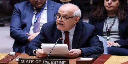 مندوب فلسطين للأمم المتحدة: مؤتمر "حل الدولتين" نقطة تحول في عملية إنهاء الاحتلال