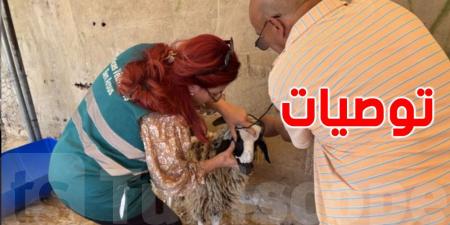 تحذير من وزارة الفلاحة: حرارة الصيف تهدد أضاحي العيد وهذه هي الحلول