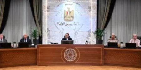 مجلس الوزراء يستعرض إجراءات البث التجريبى للمنصة الإلكترونية لتراخيص الاستثمار