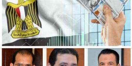الحكومة تتوسع فى برنامج الطروحات