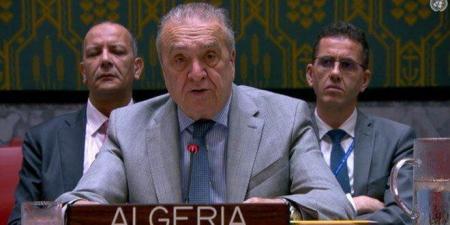 مجموعة “أ3+” في مجلس الأمن تؤكد على وحدة وسيادة واستقلال الأراضي السورية