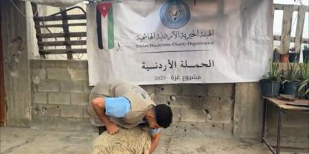 الحملة الأردنية والهيئة الخيرية الهاشمية توزعان لحوم أضاحي على فلسطينيين في غزة