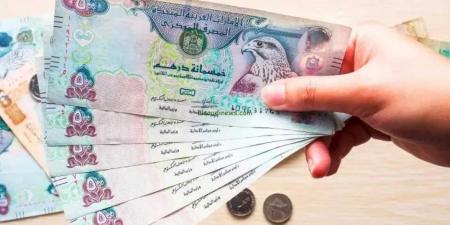استقرار غير متوقع.. سعر الدرهم الإماراتي أمام الجنيه المصري اليوم الجمعة 6 يونيو 2025